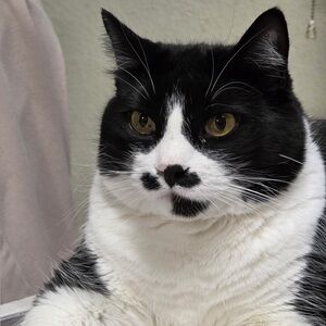 Meet your Posher, Renee